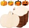 30PCS 3.5 Inches Wooden Pumpkin Cutouts Unfinished Blank Pumpkin